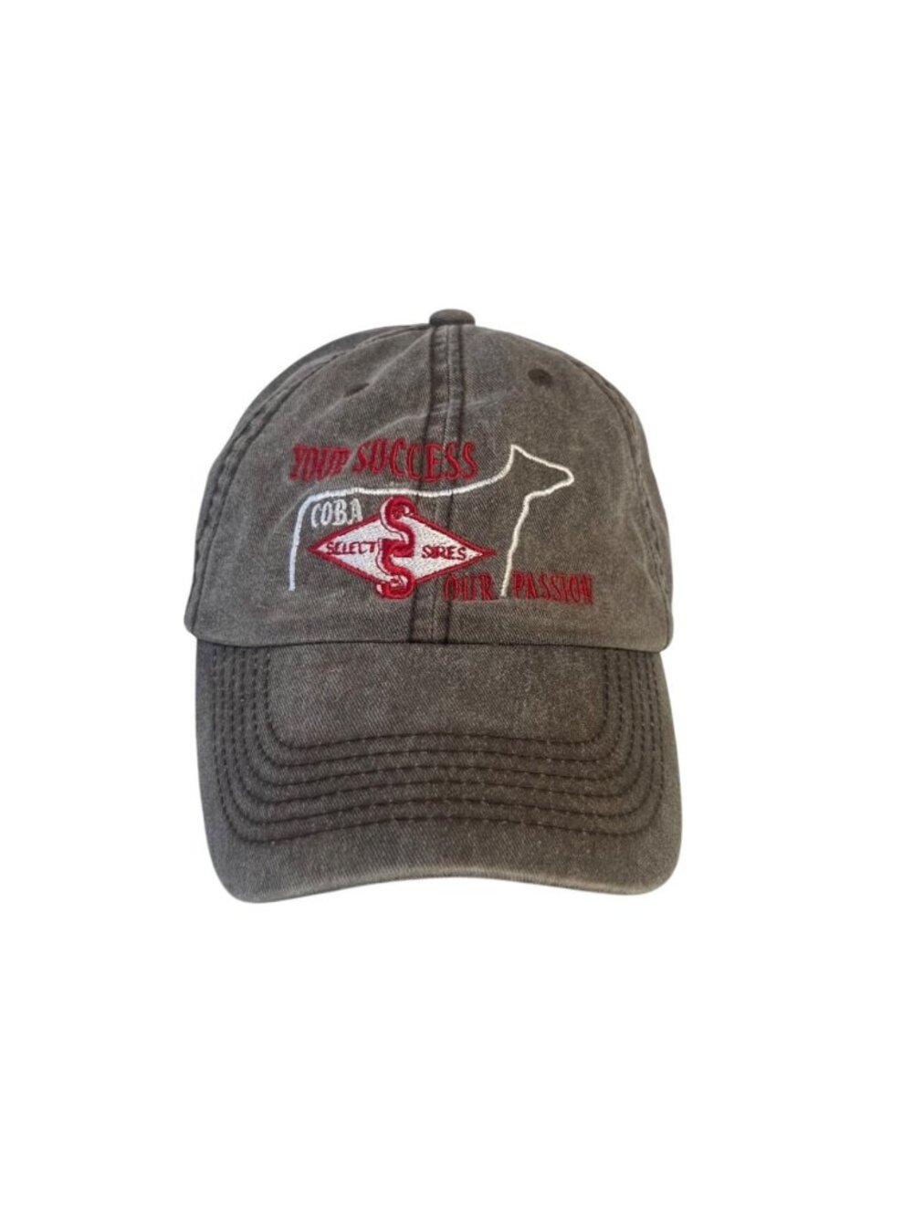 Otto Baseball Cap Hat Your Success Our Passion Gray Embroidered Cotton